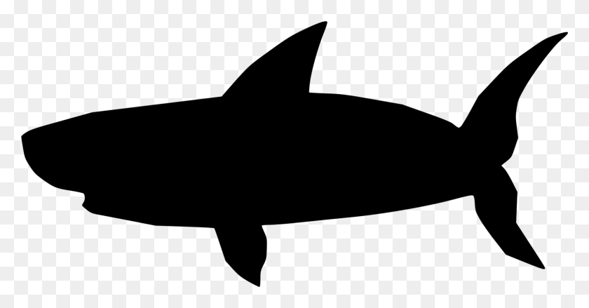 1540x750 Great White Shark Bruce Hammerhead Shark Blue Shark Free - Shark Bite Clipart