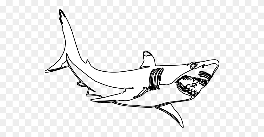 555x376 Great White Shark Clip Art - Fishing Black And White Clipart