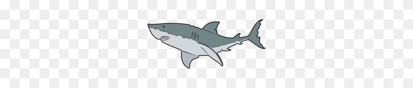 240x120 Great White Shark Clip Art - Great White Shark Clipart