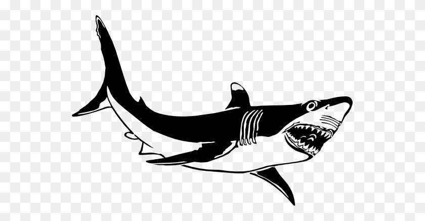 555x376 Большая Белая Акула Клипарт Черно-Белая - Тигровая Акула Клипарт