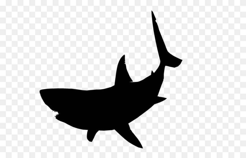 640x480 Great White Shark Clipart Jumping - Great White Shark Clipart