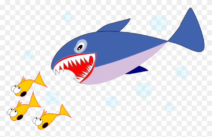 800x497 Great White Shark Clipart Shark Fish - Minnow Clipart