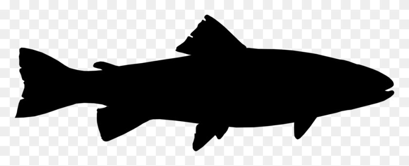 942x340 Great White Shark Hammerhead Shark Lemon Shark Drawing Free - Flies Clipart Black And White