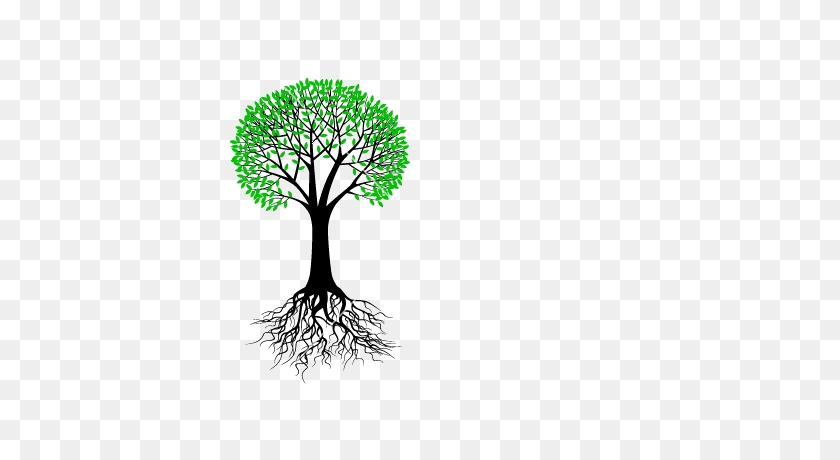380x400 Greek Root Word Clipart Free Clipart - Tree With Roots PNG