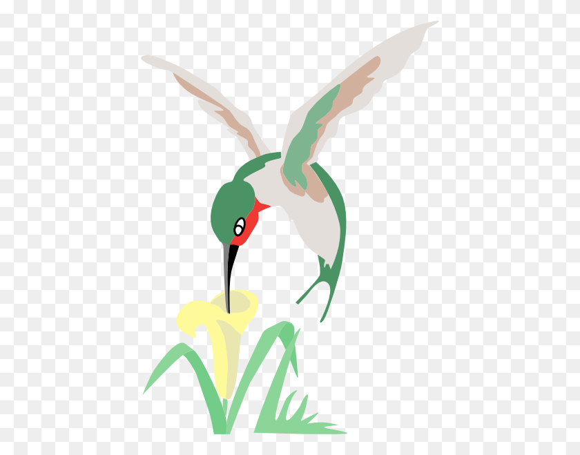 432x599 Green And White Hummingbird With Flower Png, Clip Art For Web - Arctic Clipart