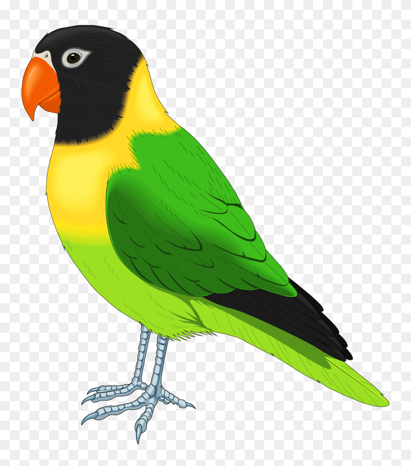 2725x3120 Green And Yellow Bird Png Clipart - Green Bird Clipart