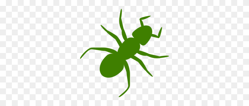 300x300 Green Ant Clip Art - Parasite Clipart