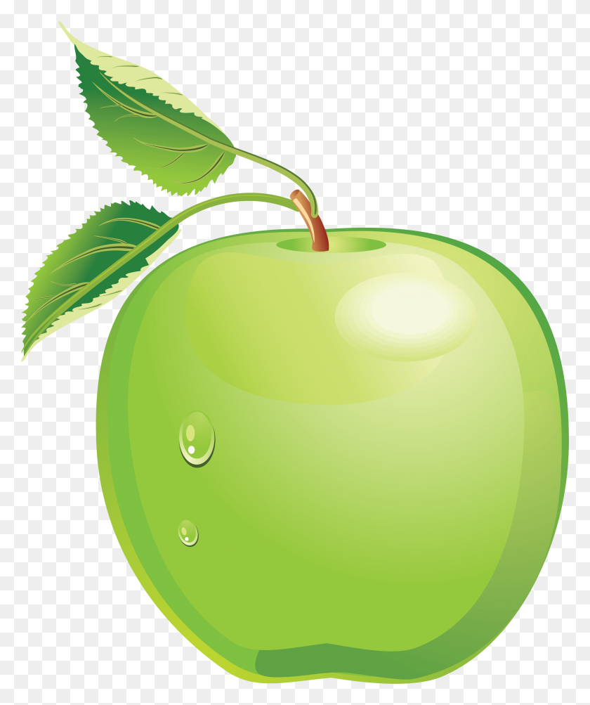 2890x3497 Green Apple Png Image - Green Apple PNG