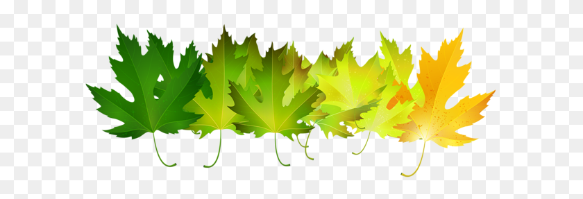 600x227 Green Autumn Leaves Transparent Clip Art Image Clipart - Swamp Clipart