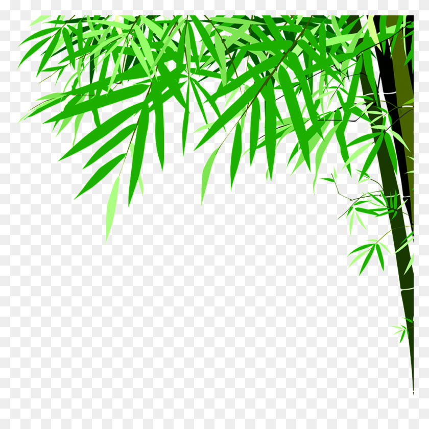 1024x1024 Green Bamboo High Definition Beauty Png Free Png Download Png - Bamboo PNG