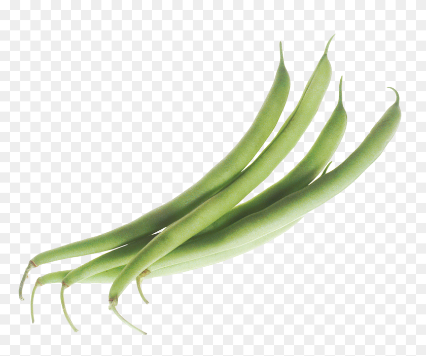 1425x1173 Green Beans Png Image - Bean PNG