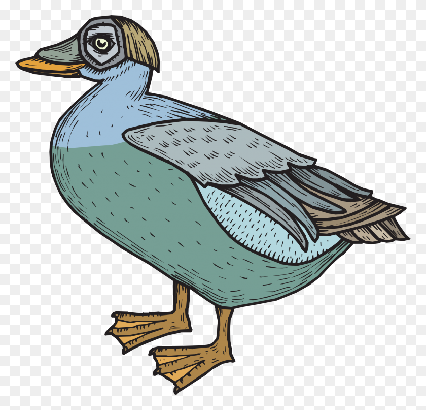 1920x1840 Green Blue Bird Duck Wings Free Image - Bird Wings PNG