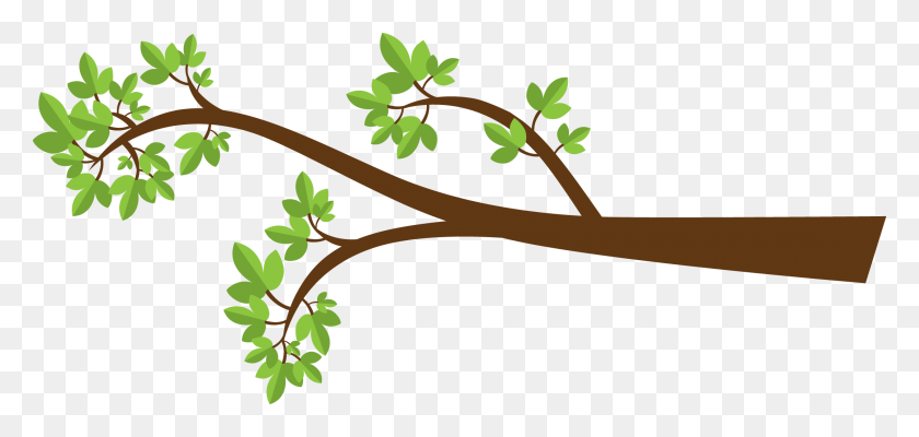 2160x943 Green Branch Cliparts - Tree Clipart Transparent
