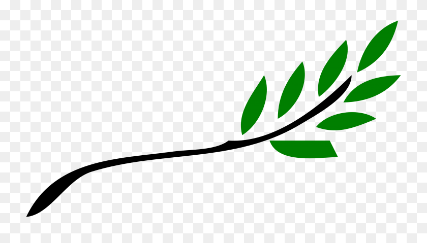 3333x1793 Green Branch Cliparts - Free Eucalyptus Clipart