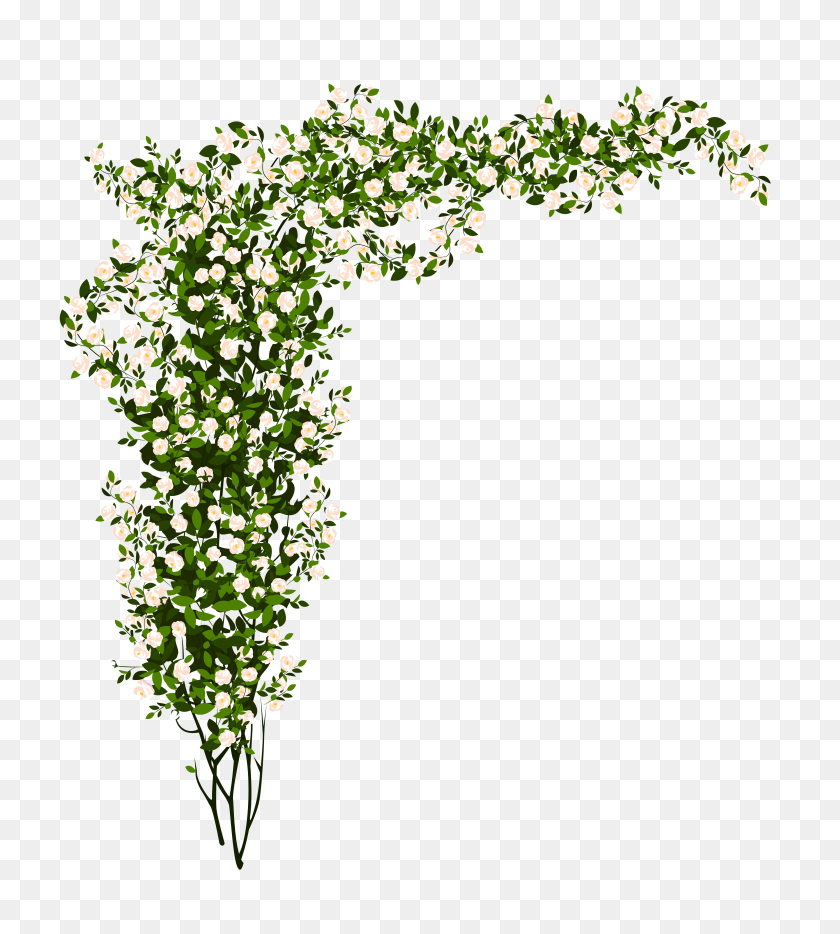 4773x5354 Arbusto Verde Cliparts - Planta Arbusto Png