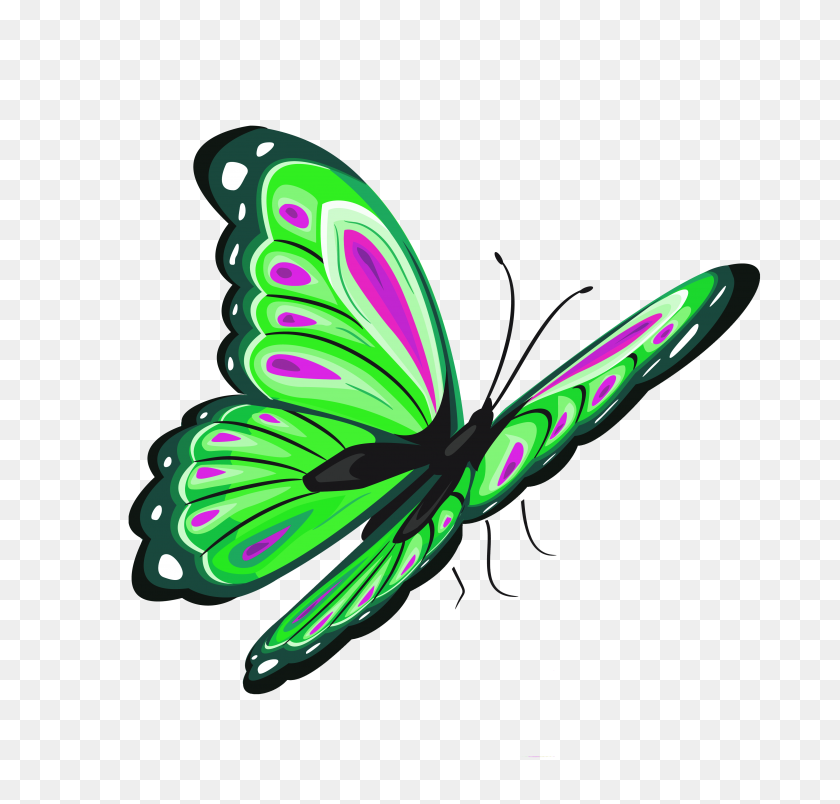 3804x3632 Зеленая Бабочка С Элементами - Бабочка Png Клипарт