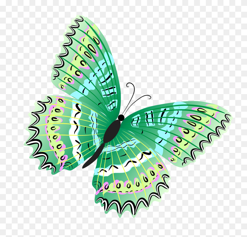 1629x1560 Green Butterfly Png - Green PNG