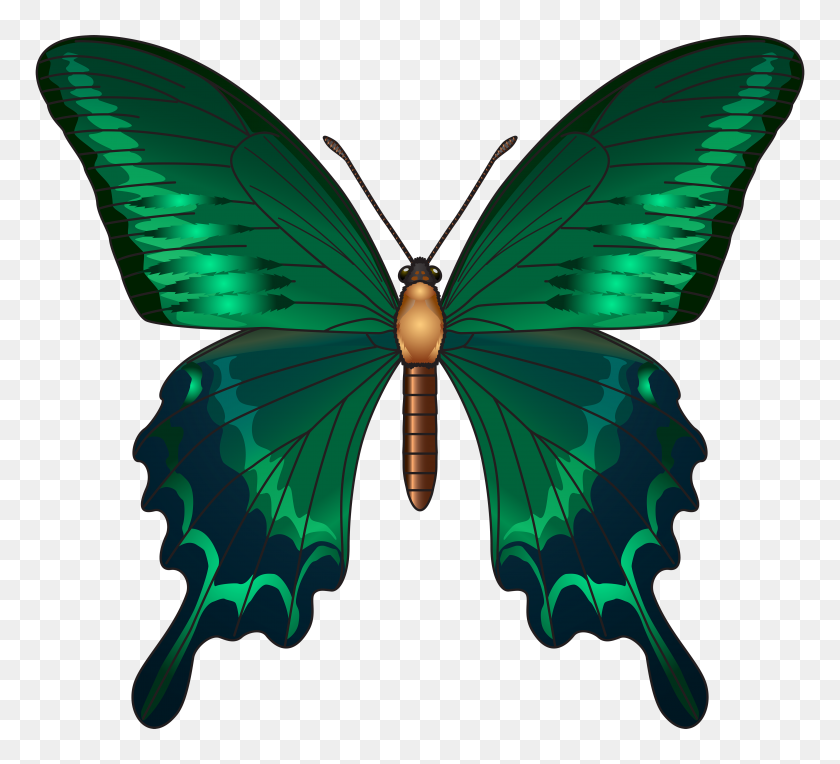 5000x4518 Зеленая Бабочка Png Клипарт - Контур Бабочки Png