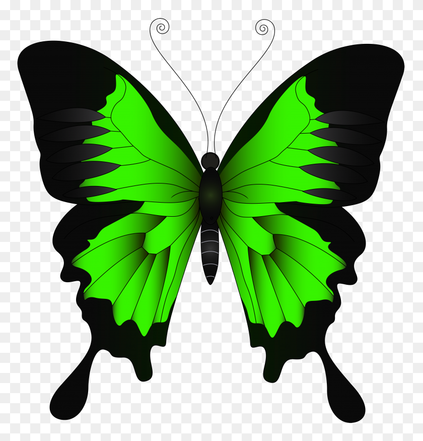 4783x5000 Green Butterfly Png Clip Art - Insect Clipart