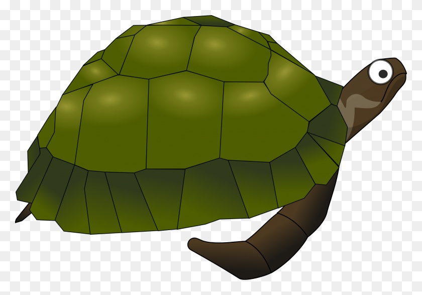 2400x1623 Green Cartoon Turtle Icons Png - Turtle PNG