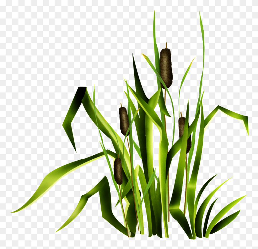 1024x983 Green Flower And Grass Transparent Free Png Download Png Vector - Grass PNG Transparent