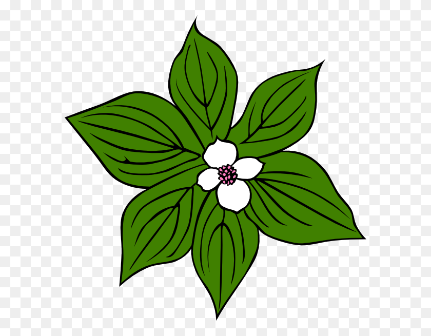 588x595 Green Flower Clip Art - Wildflower PNG