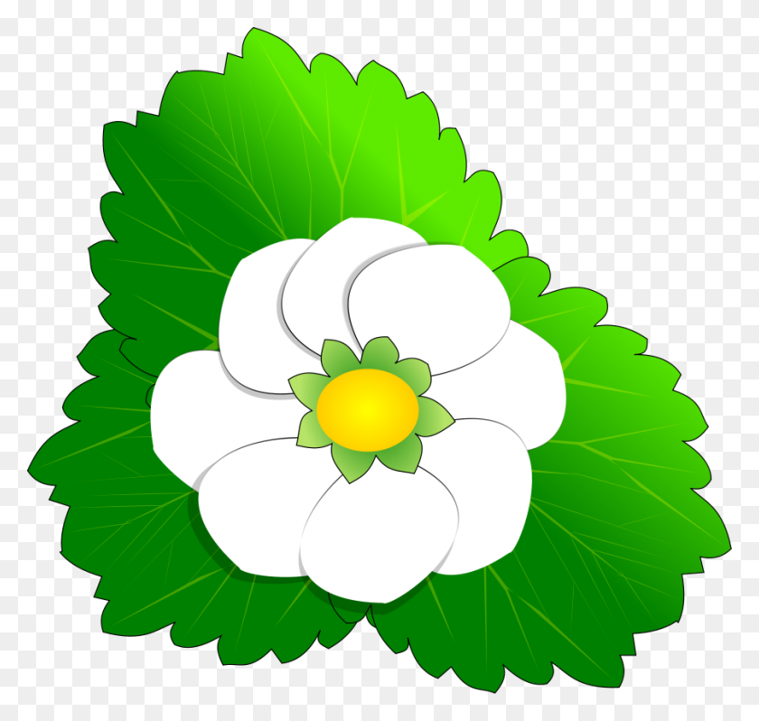 900x852 Green Flower Clipart, Explore Pictures - Green Flower Clipart