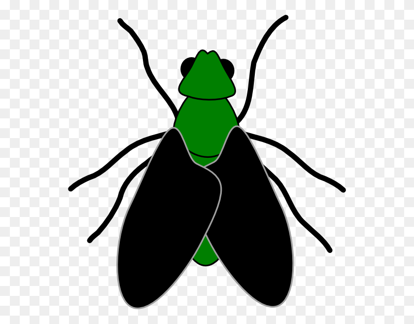 564x597 Green Fly Black Clip Art - Parasite Clipart