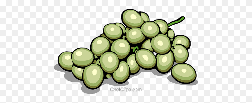 480x284 Green Grapes Royalty Free Vector Clip Art Illustration - Grapes Clipart