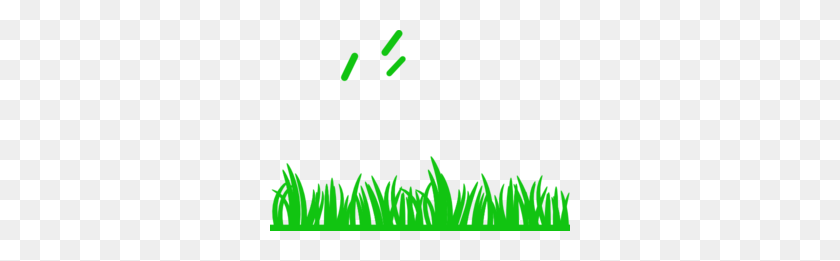 300x201 Hierba Verde Extremo Plano Clipart - Grass Vector Png