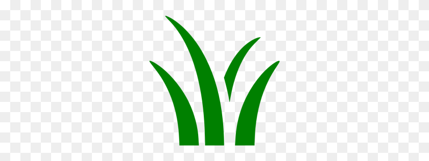 256x256 Green Grass Icon - Green Grass PNG