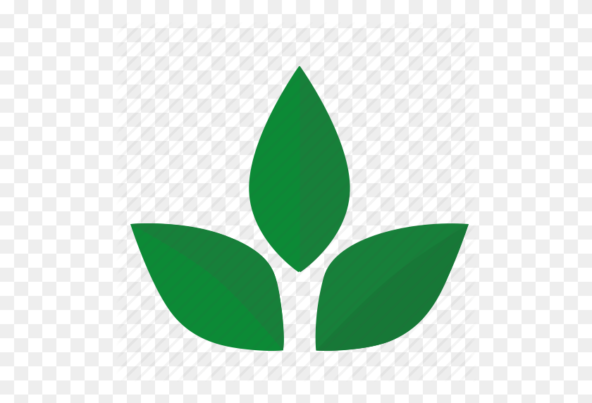 512x512 Green, Herbal, Label, Leaf, Sign, Tea Icon - Leaf Icon PNG