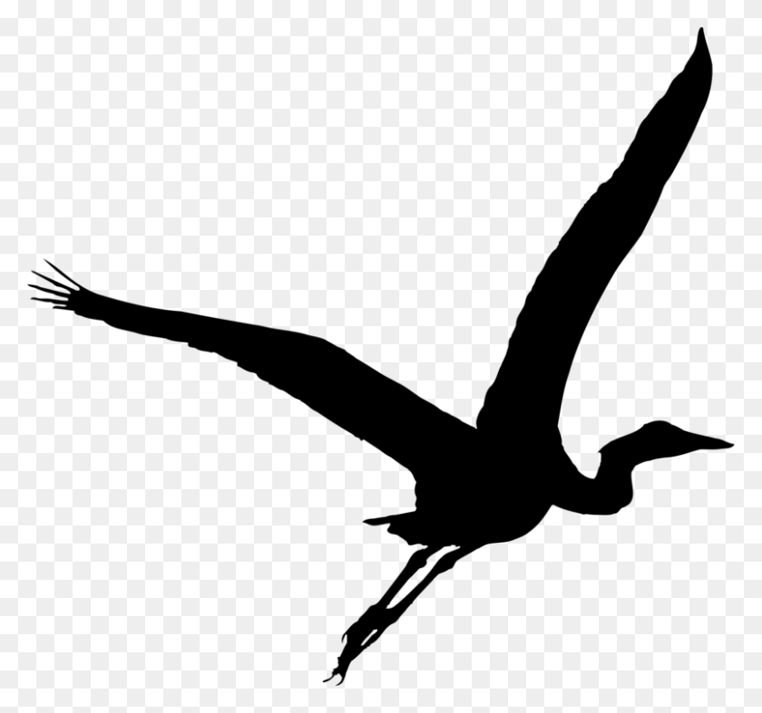 804x750 Green Heron Bird Great Blue Heron Silhouette - Crane Bird Clipart
