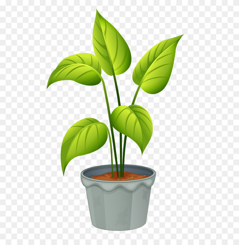515x800 Green Home Plant My Garden Valley Flowers - Potted Plant Clipart