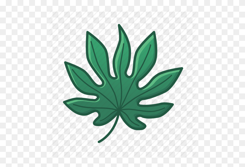 512x512 Зеленый, Иконки, Лист, Листья, Пальма, Тропик, Тропический Значок - Тропическое Растение Png