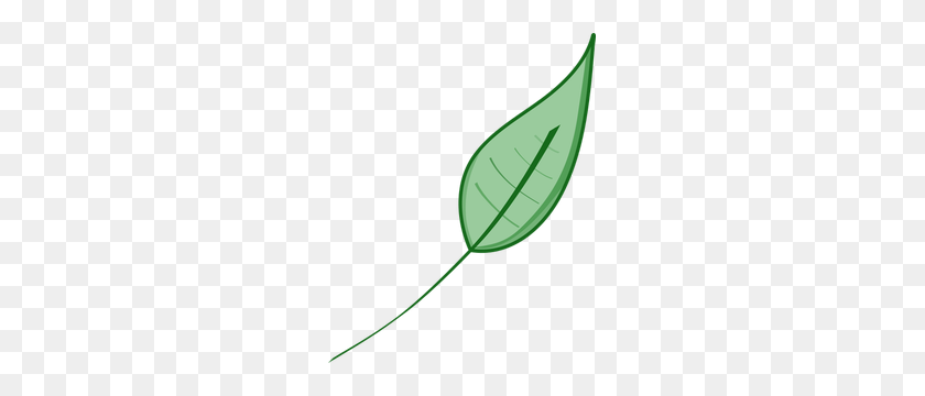 243x300 Green Ivy Leaf Clip Art - Lettuce Leaf Clipart