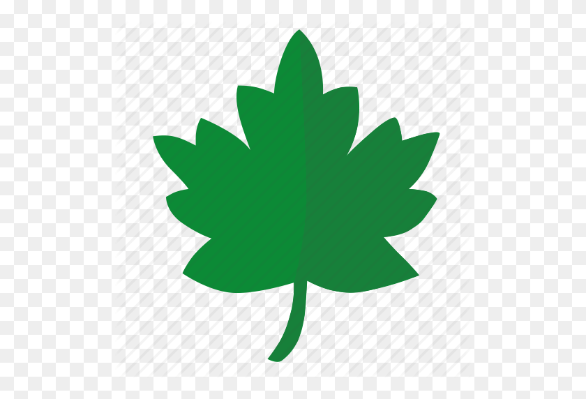 512x512 Green, Label, Leaf, Oak, Sign, Tree Icon - Oak Leaf PNG