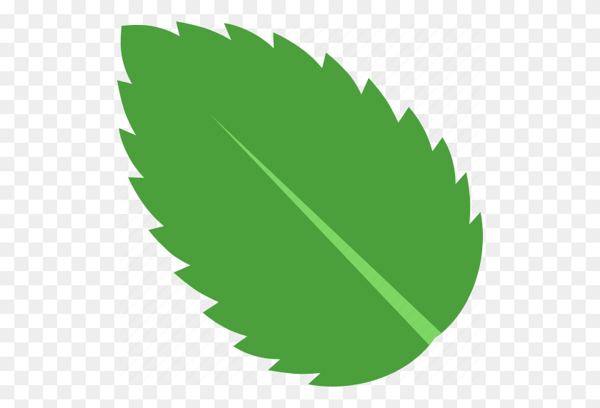 512x512 Зеленый, Lamiaceae, Лист, Мента, Мята, Перечная Мята, Значок Мяты Колючей - Листья Мяты Png