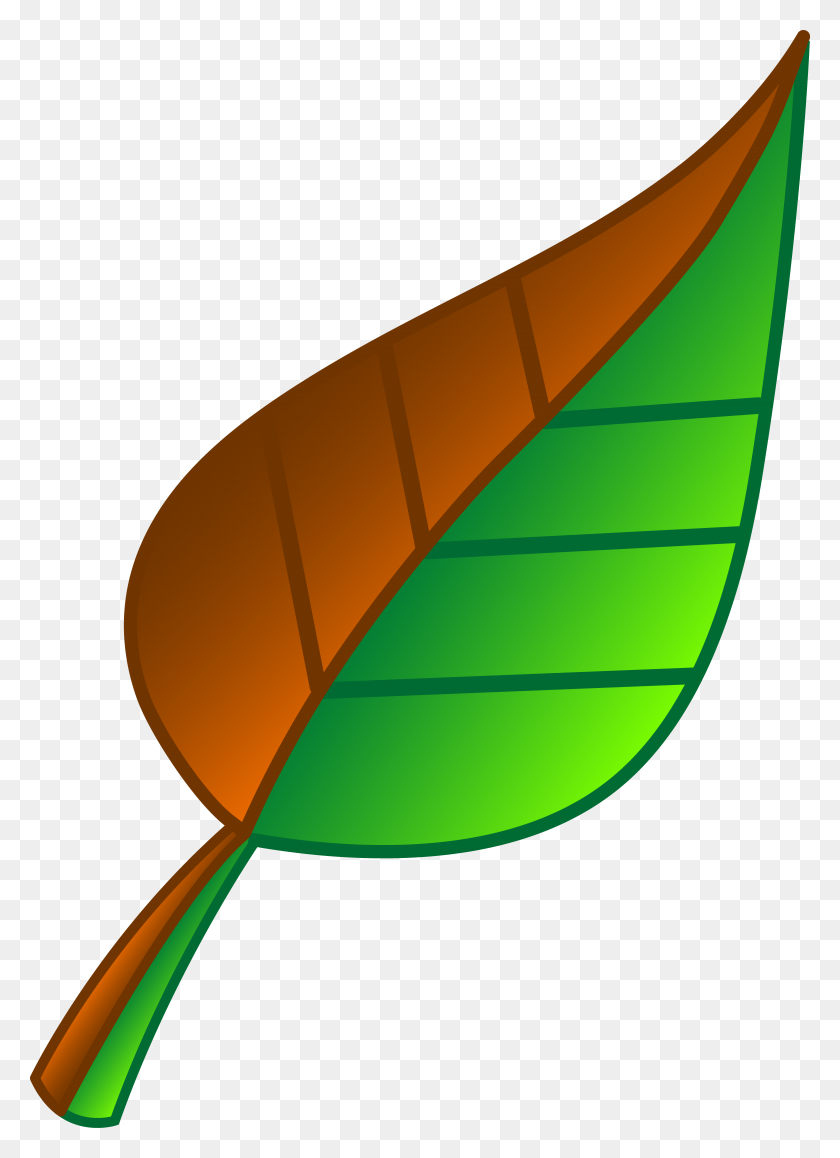 3906x5502 Green Leaf - Basil Clipart