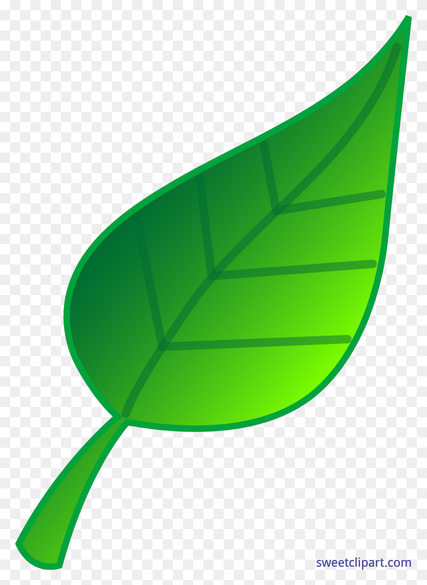 2504x3500 Green Leaf Clip Art - Tadpole Clipart