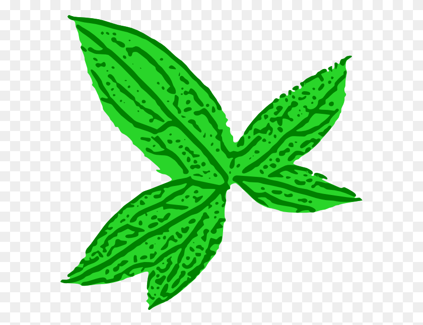 600x585 Green Leaf Clip Art Free Vector - Leaf Images Clip Art
