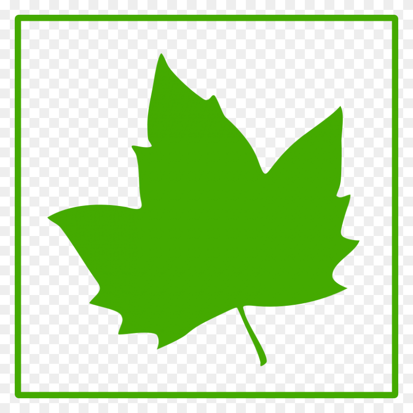 800x800 Green Leaf Clipart - Ivy Leaf Clipart