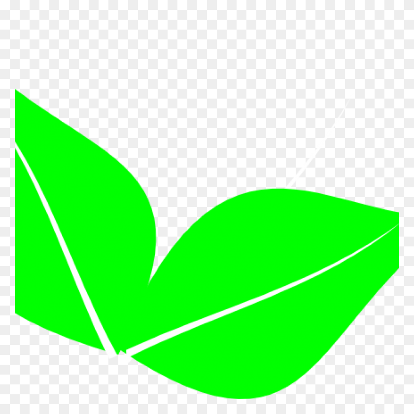 1024x1024 Клипарт Зеленые Листья - Банановые Листья Клипарт