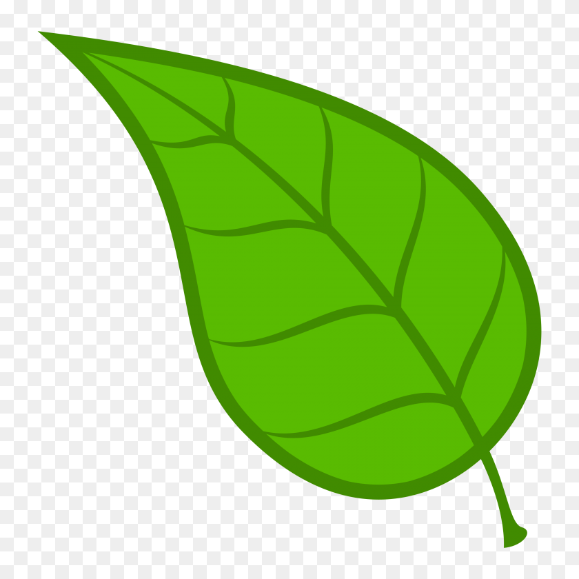 3600x3600 Зеленый Лист Клипарт Посмотрите На Зеленые Листья Картинки - Зеленый Фонарь Клипарт