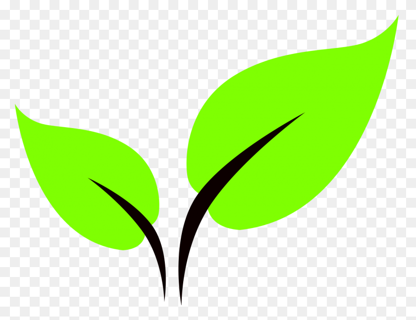 1280x964 Green Leaf Clipart Png - Green Leaf Clipart