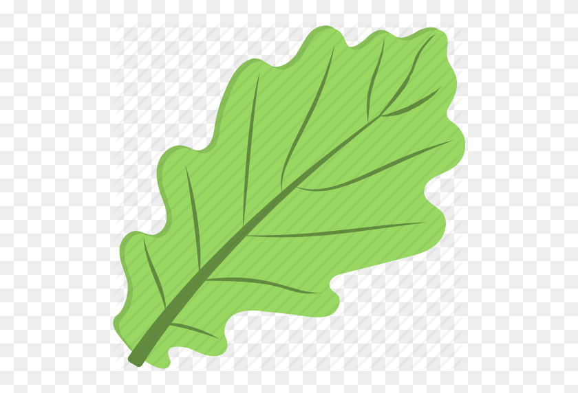 512x512 Green Leaf, Green Vegetable, Leafy Vegetable, Spinach, Spinach - Spinach PNG