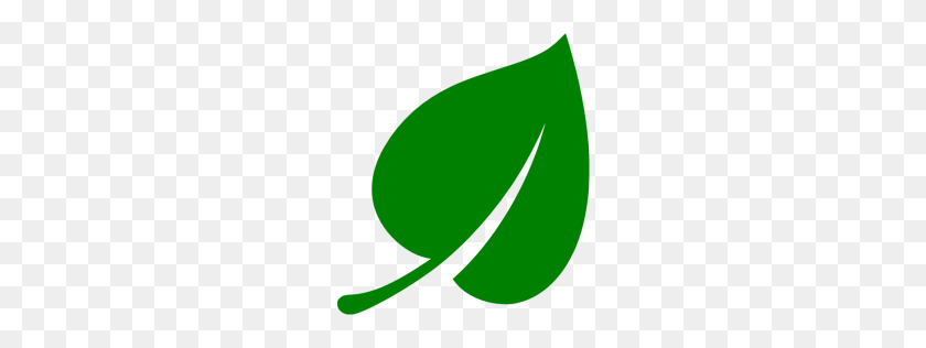 256x256 Green Leaf Icon - Leaf Icon PNG