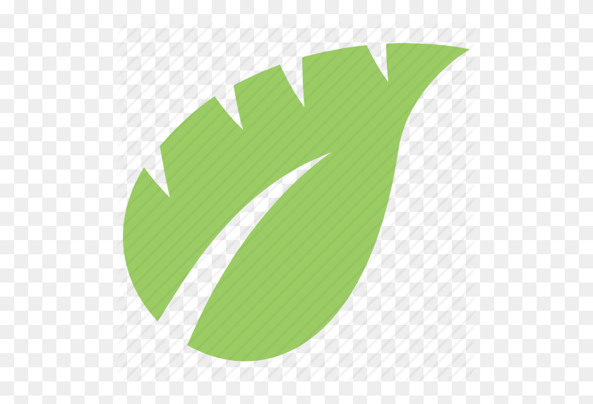 512x512 Green Leaf, Leaf, Leaf Design, Monstera Leaf, Tropical Leaf Icon - Tropical Leaf PNG