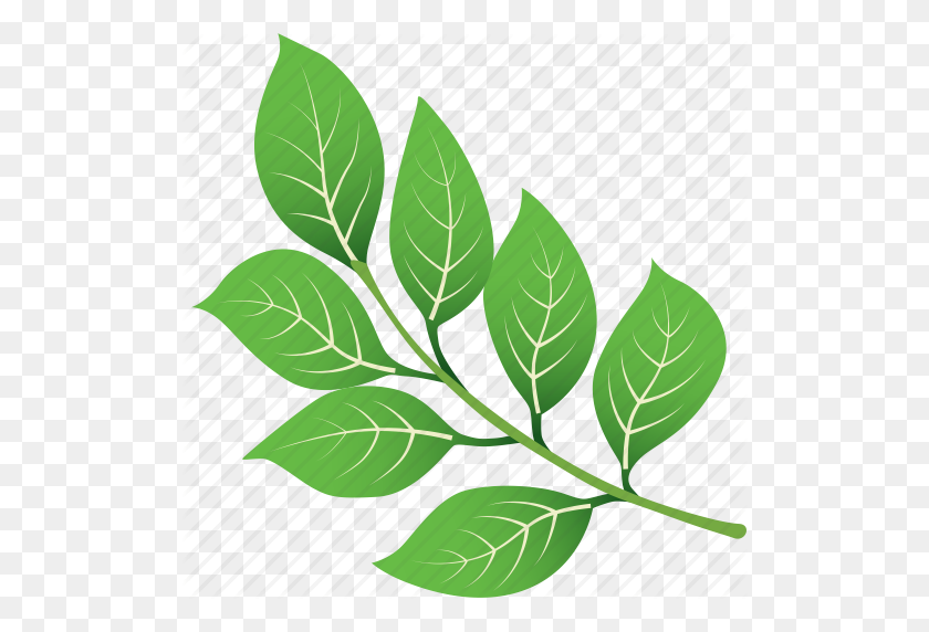512x512 Зеленый, Лист, Листья, Природа, Дерево, Тропический Значок - Тропический Лист Png