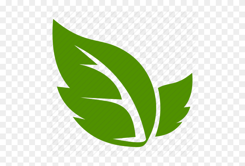 512x512 Green Leaf Logo Png Png Image - Leaf Logo PNG